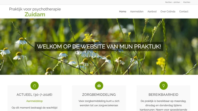 Screenshot van de website van Psychotherapie Zuidam