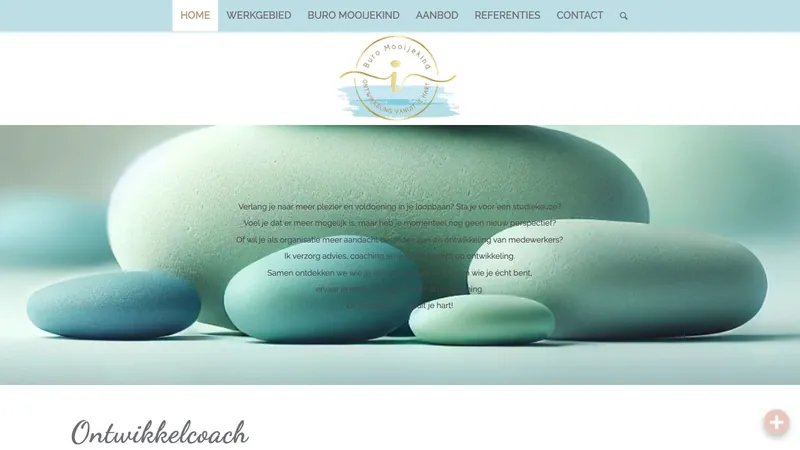 Screenshot van de website van Buro Mooijekind